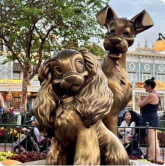 WonderSpark Travel photo 3