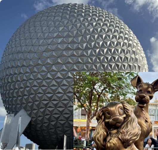 WonderSpark Travel photo 1